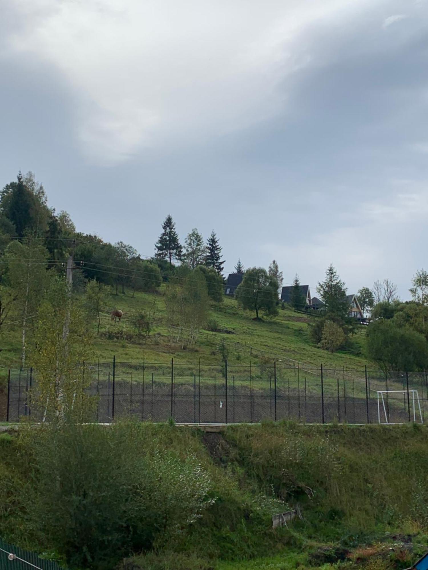 Vila Аура Карпат Slavske Exteriér fotografie
